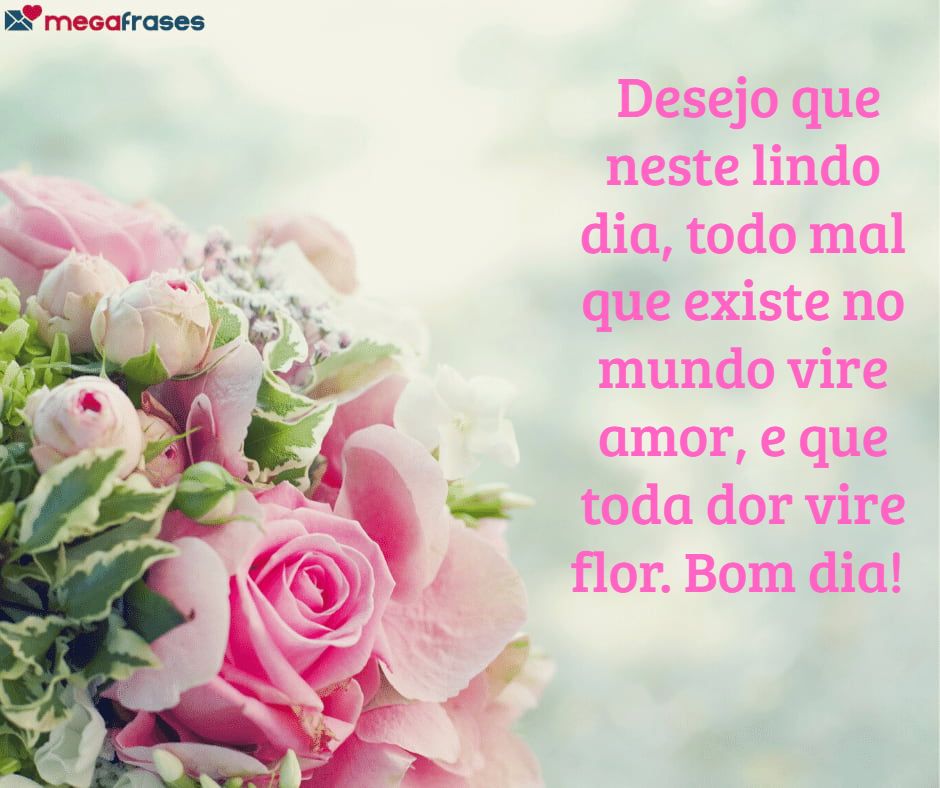 Featured image of post Fofas Lindas Frases De Bom Dia Novas frases para melhorar o seu dia todos os dias
