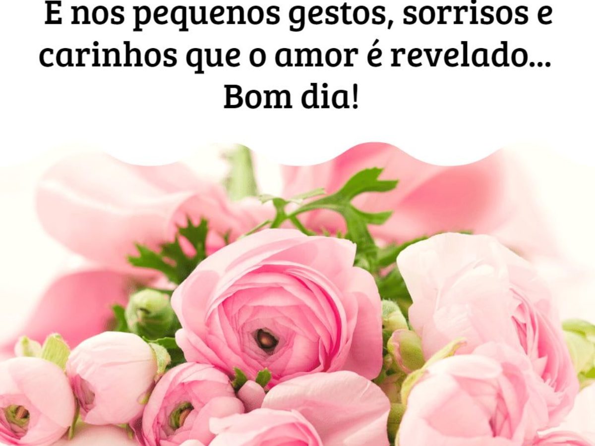 Mensagens de Bom Dia com Rosas - Sinta o Perfume do nosso Jardim!